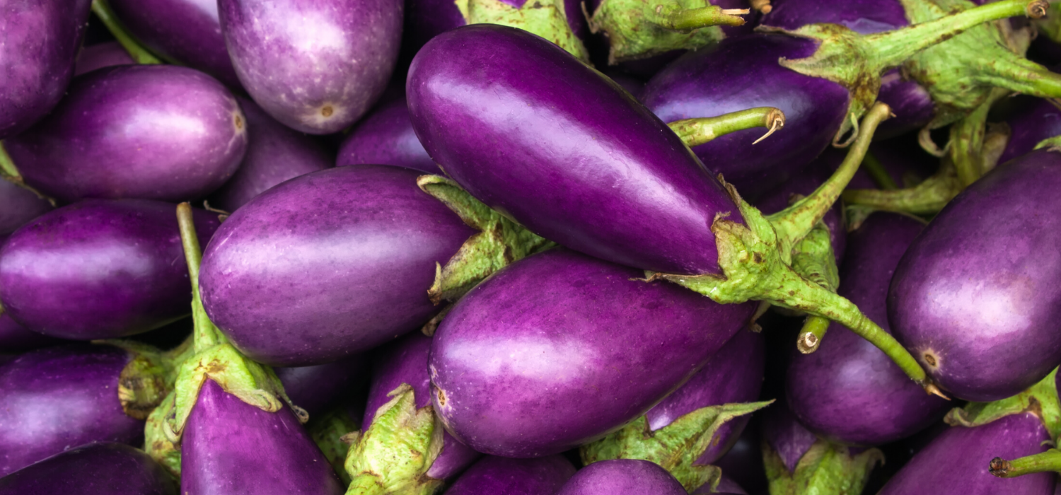 7 Easy Eggplant Recipes Everyone Will Enjoy
&ndash; Rich Glen