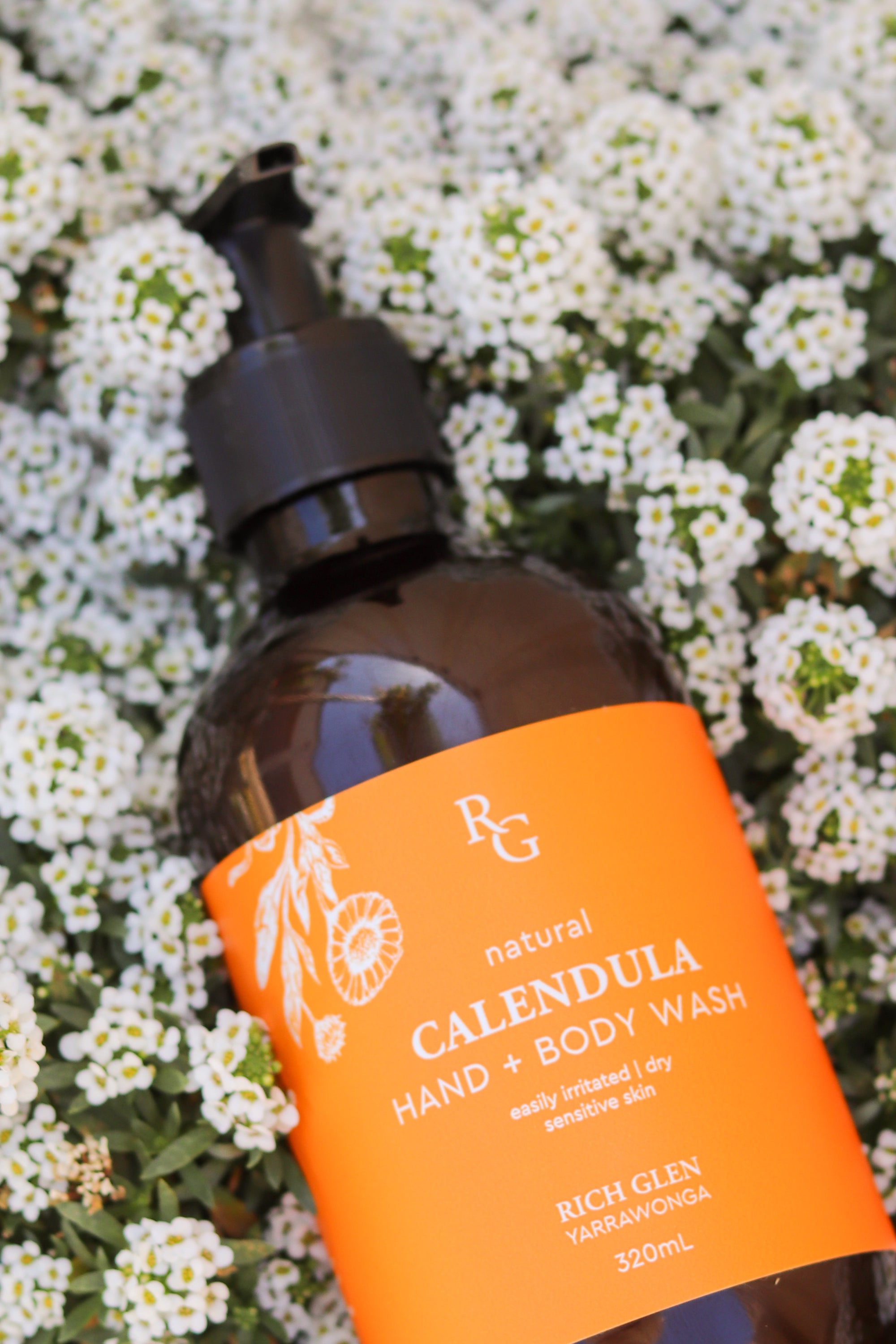 Calendula Hand + Body Wash