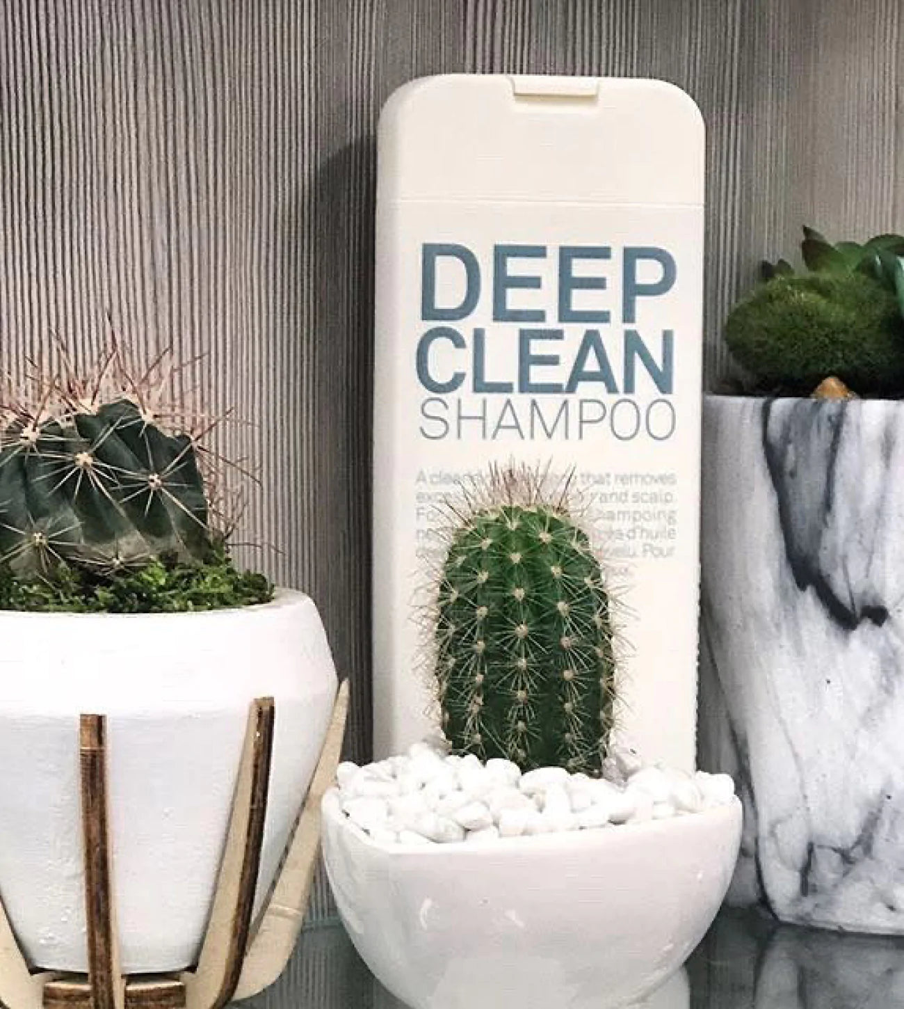 DEEP CLEAN