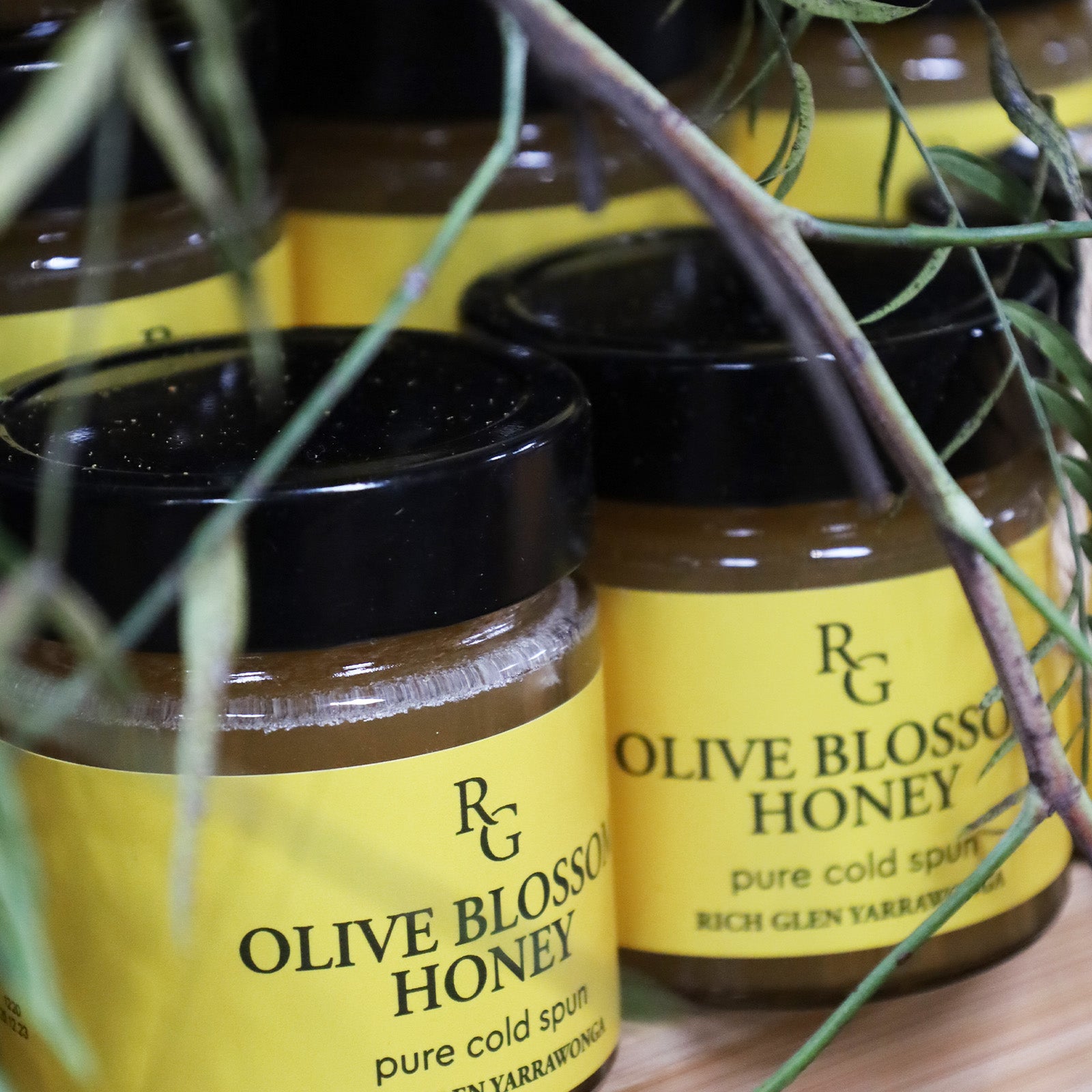 Olive Blossom Honey – Rich Glen Olive Estate