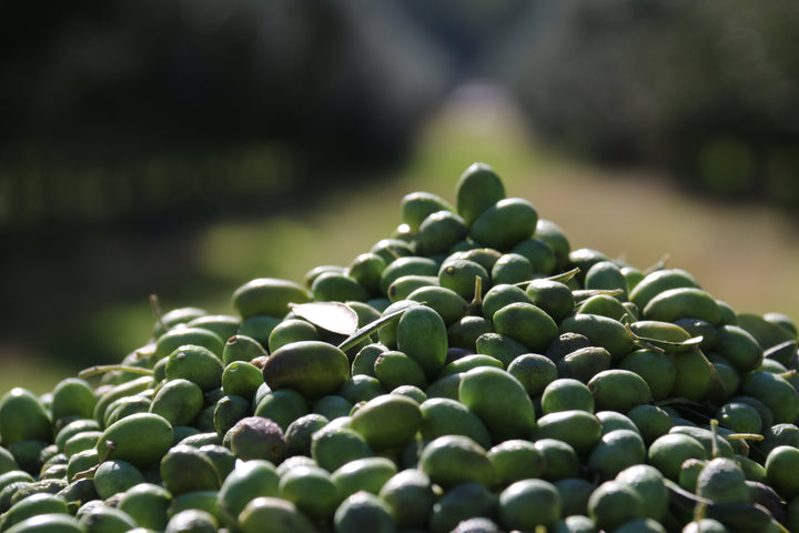 Unveiling the Wonders of Cold-Pressed Olive Oil