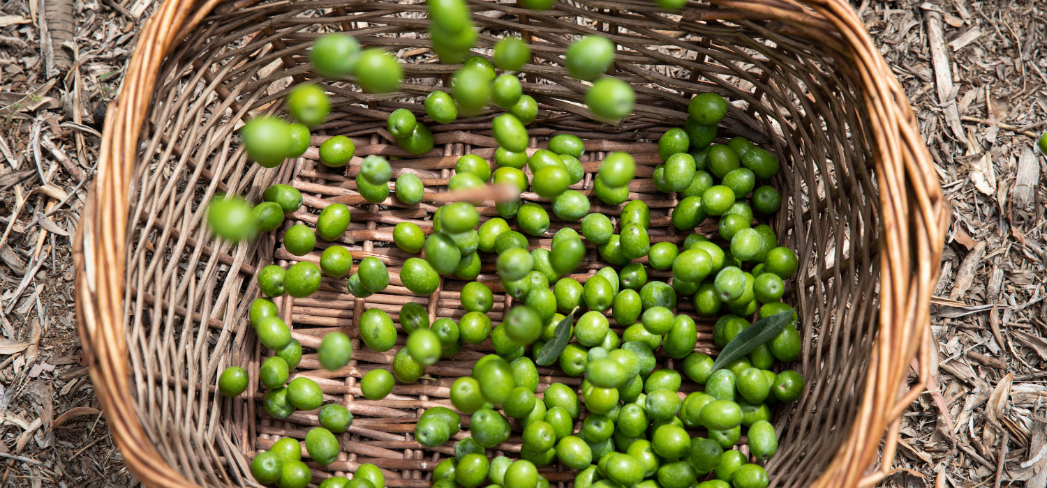 Beaten Olives