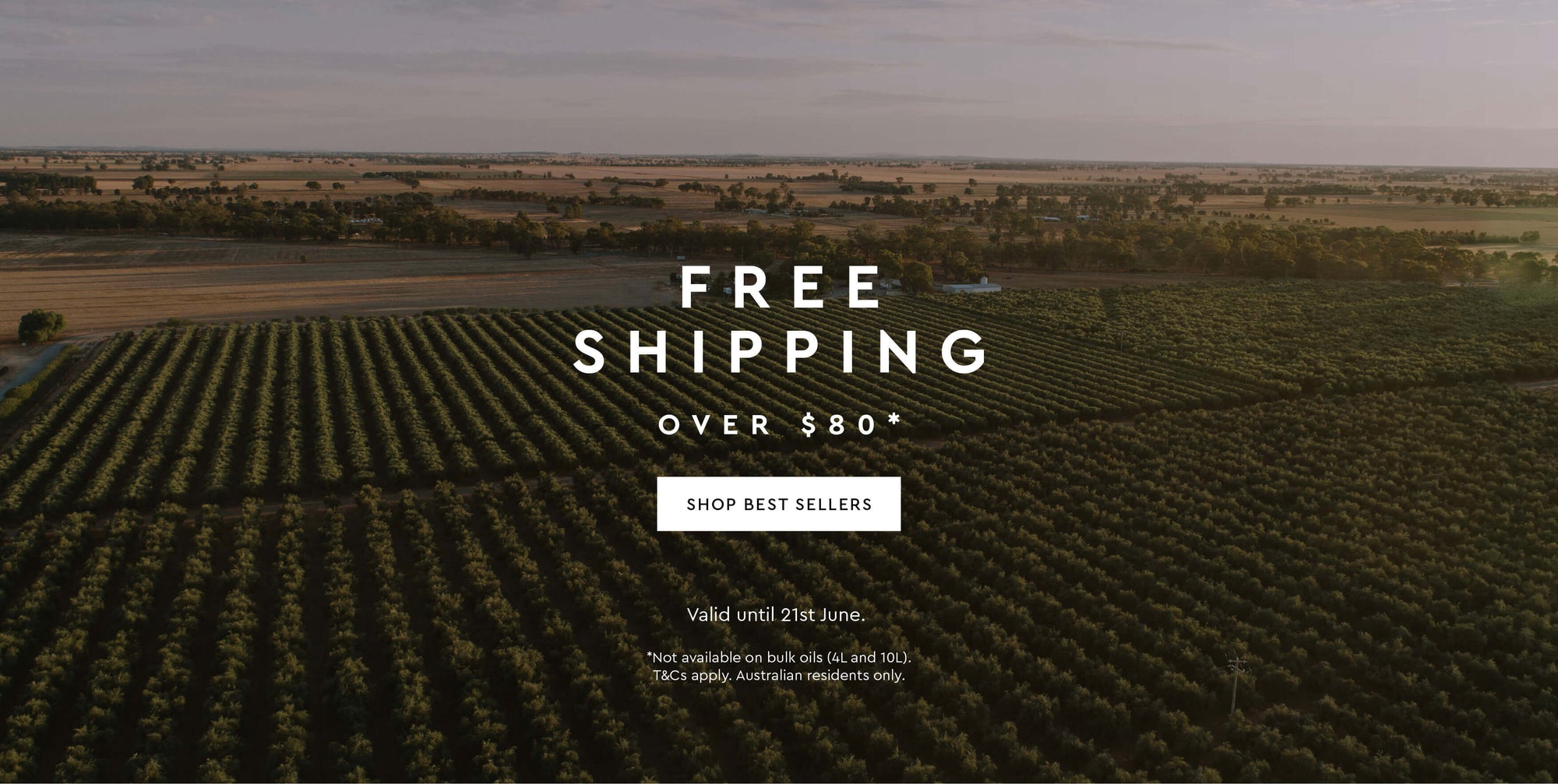 Free Shipping over $80